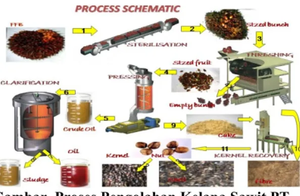 Gambar  Proses Pengolahan Kelapa Sawit PT  Steelindo Wahana Perkasa. 