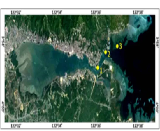 Gambar 1 Peta lokasi penelitian di Teluk Kendari