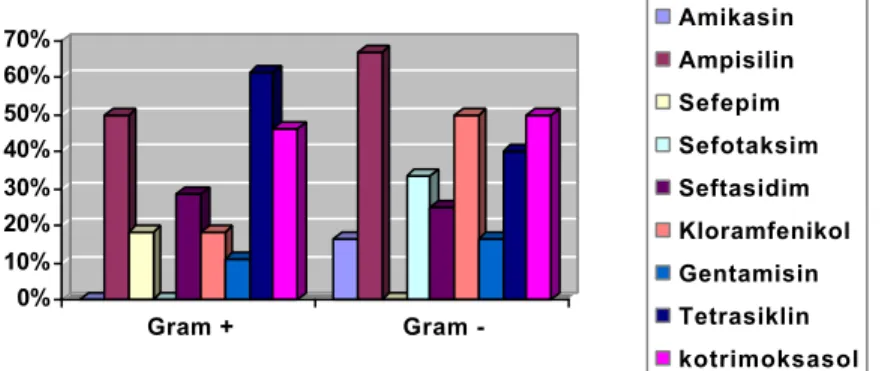 Grafik 1.Profil Etiologi Bakteremia di Bangsal Infeksi Penyakit Dalam RSDK tahun 2004 Keterangan : Sa: Staphylococcus aureus, Se: Staphylococcus epidermidis, Ent: Enterobacter                                aerogenes, Pseu: Pseudomonas sp