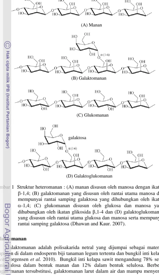 Gambar 1  Struktur heteromanan : (A) manan disusun oleh manosa dengan ikatan  -1,4;  (B)  galaktomanan  yang disusun oleh rantai  utama manosa dan  mempunyai  rantai  samping  galaktosa  yang  dihubungkan  oleh  ikatan  -1,4;  (C)  glukomanan  disusun  ole