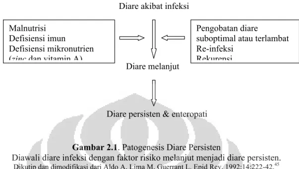 Gambar 2.1. Patogenesis Diare Persisten 