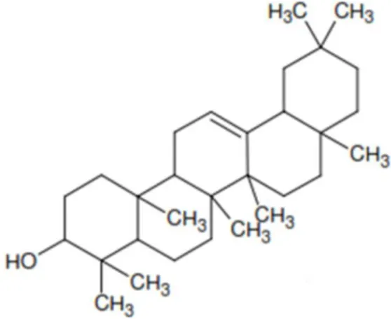 Gambar 6. Struktur Dasar Triterpenoid 