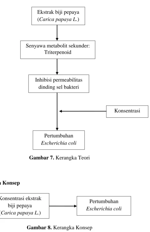 Gambar 7. Kerangka Teori 