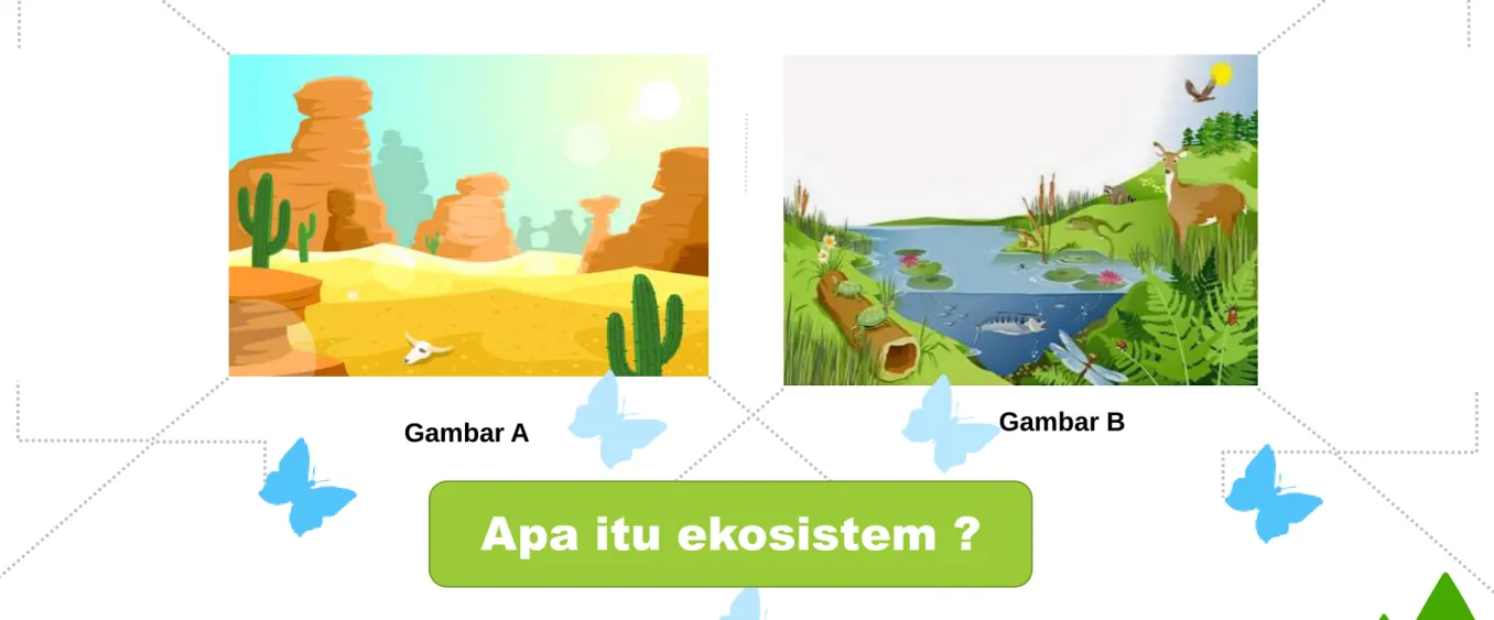 Gambar A Gambar B