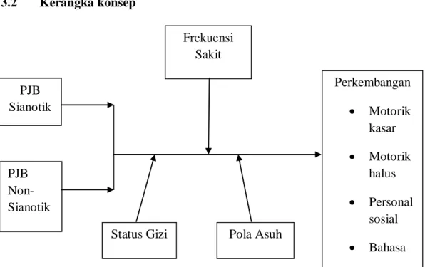 Gambar 2. Kerangka konsep 