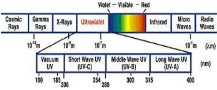 Gambar 2.3. Sinar Ultraviolet (Gibson, 2009). 