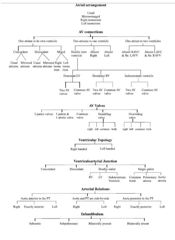 Gambar 3. Analisa segmental