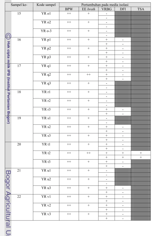 Tabel 4. Hasil isolasi E.sakazakii pada beberapa media (lanjutan) 