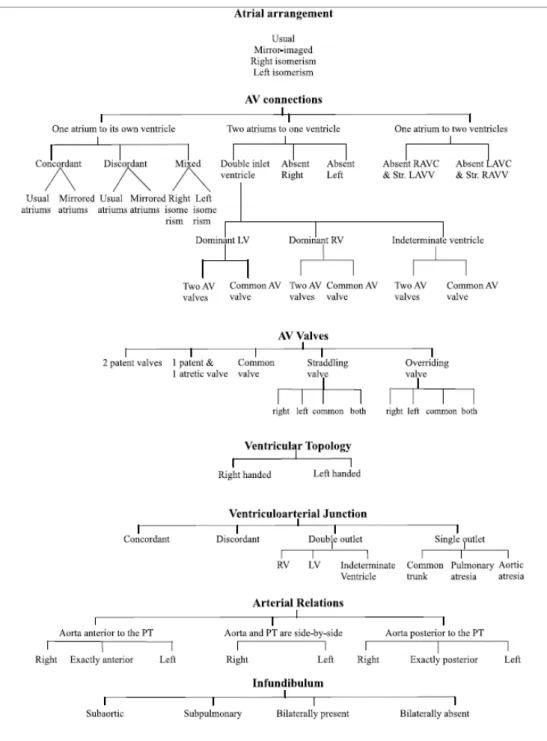 Gambar 3. Analisa segmental