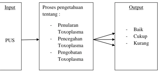 Gambar 2. Kerangka Konsep Input PUS Proses pengetahuan tentang : -  Penularan Toxoplasma -  Pencegahan Toxoplasma -  Pengobatan Toxoplasma  Output -  Baik  -  Cukup  -  Kurang 