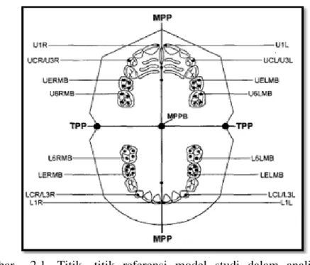 Gambar  2.1. Titik-  titik referensi model studi dalam analisis  asimetri lrngkung gigi  yang dipakai oleh Maurice 