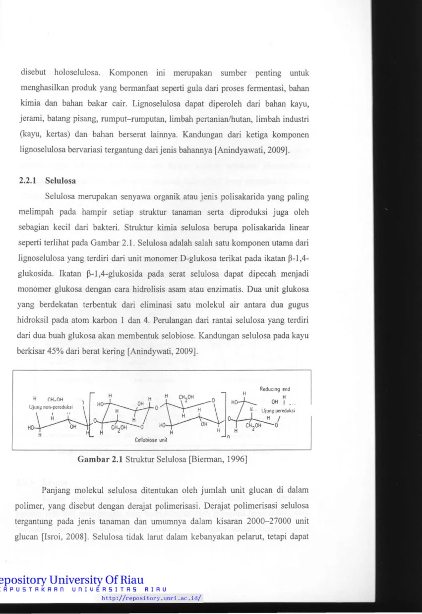 Gambar 2.1 Struktur Selulosa [Bierman, 1996] 