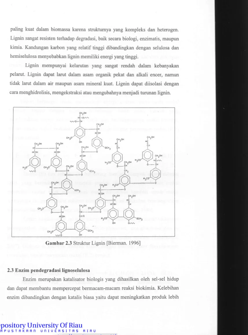 Gambar 2.3 Struktur Lignin [Bierman. 1996] 