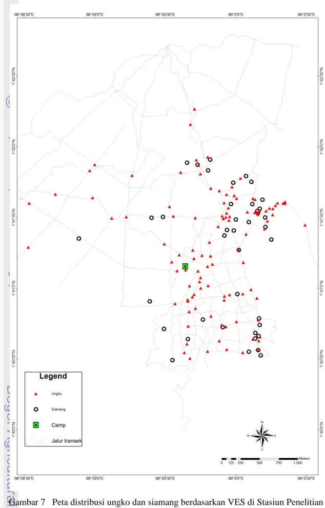 Gambar 7  Peta distribusi ungko dan siamang berdasarkan VES di Stasiun Penelitian  YEL-SOCP