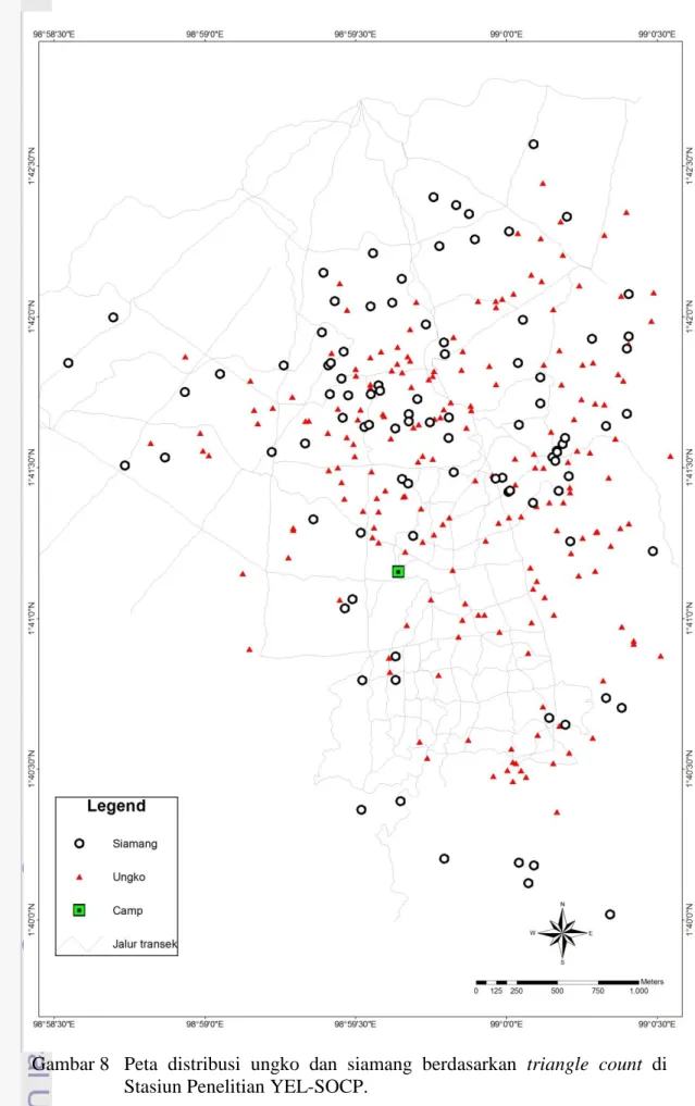 Gambar 8  Peta  distribusi  ungko  dan  siamang  berdasarkan  triangle  count  di  Stasiun Penelitian YEL-SOCP