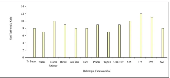 Gambar  1  Waktu yang diperlukan beberapa varietas cabai untuk membentuk  kalus 