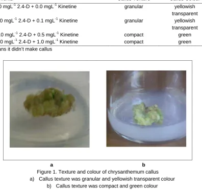 Table 2. Effect of various 2,4-d and kinetine concentrations on wet mass chrysanthemum callus at 8 weeks after treatments 