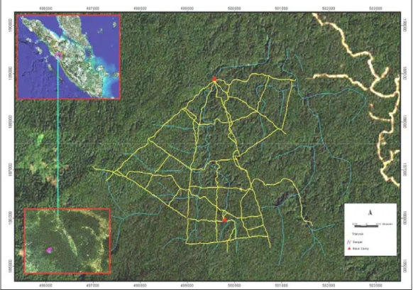 Gambar 2. Lokasi penelitian di Hutan Batang Toru blok barat 