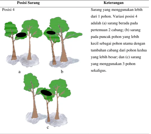 Gambar 10. Jumlah pohon pada setiap posisi sarang 
