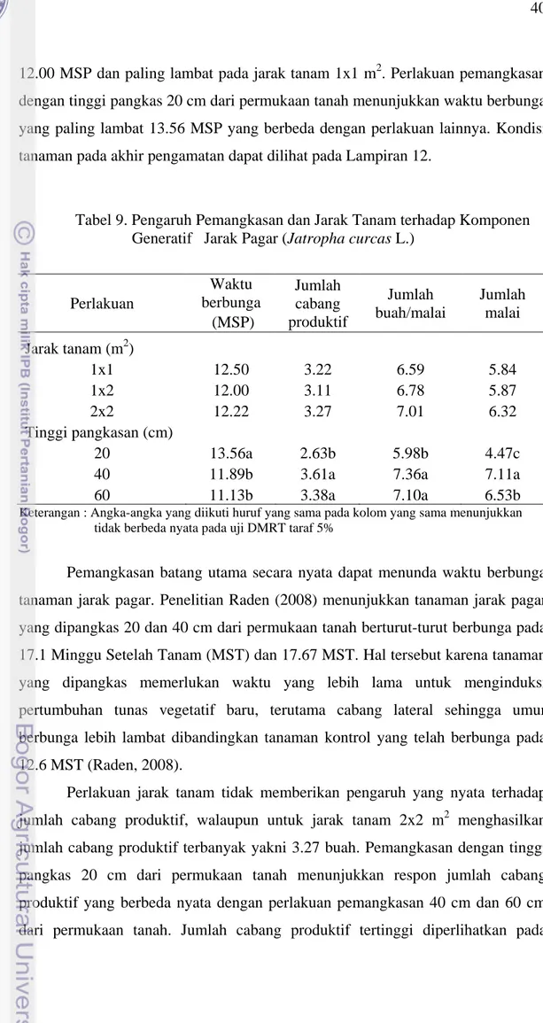Tabel 9. Pengaruh Pemangkasan dan Jarak Tanam terhadap Komponen  Generatif   Jarak Pagar (Jatropha curcas L.) 