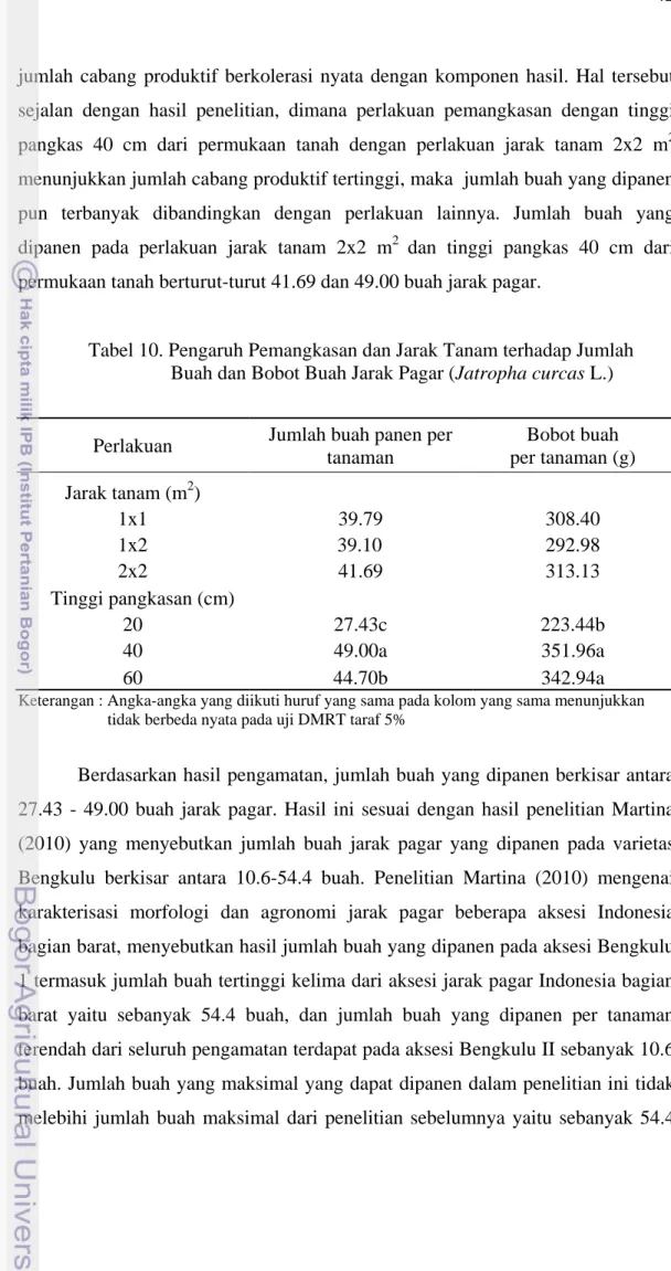 Tabel 10. Pengaruh Pemangkasan dan Jarak Tanam terhadap Jumlah  Buah dan Bobot Buah Jarak Pagar (Jatropha curcas L.) 