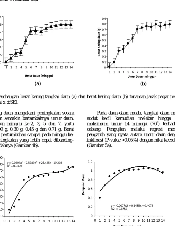 Gambar 4.  Perkembangan  berat  kering  tangkai  daun  (a)  dan  berat  kering  daun  (b)  tanaman  jarak  pagar  per  minggu
