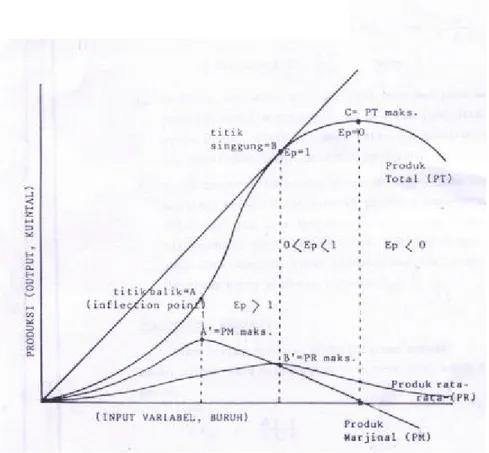 Gambar 2. Daerah Produksi dan Elastisitas Produksi                             Sumber : Lipsey, 1995 