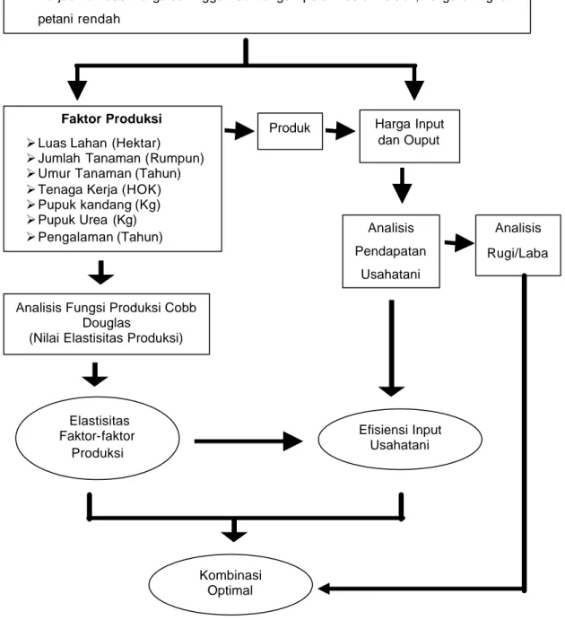 Gambar 3. Bagan Alur Operasional Penelitian  Efisiensi Input Usahatani  Elastisitas Faktor-faktor Produksi 