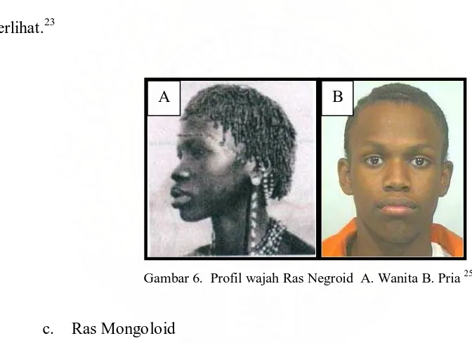 Gambar 6.  Profil wajah Ras Negroid  A. Wanita B. Pria 25  