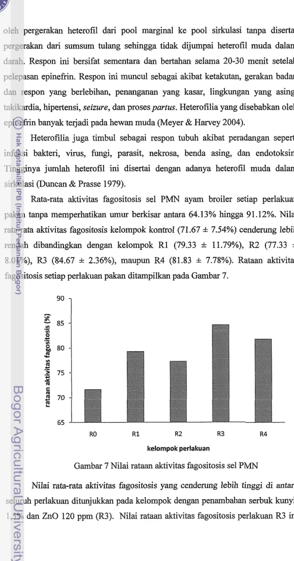 Gambar 7 Nilai rataan aktivitas fagositosis sel  PMN 