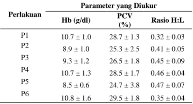 Tabel 1. Rata-rata  (±SD)  kadar  hemoglobin  (Hb),  nilai PCV, dan nilai rasio H:L ayam broiler  yang  diberi  ekstrak  jaloh  dikombinasi   probiotik dan mineral kromium pada ayam  yang menderita stres panas 