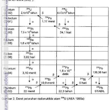 Gambar 2. Deret peluruhan radionuklida alam 238U (IAEA 1990a) 