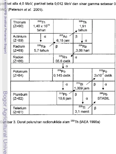 Gambar 3. Deret peluruhan radionuklida alam 2 3 2 ~ h  (IAEA 1990a) 