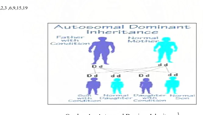 Gambar  1 :  Autosomal Dominan Inheritance3 Keterangan gambar :  Orang yang terkena Achondroplasia memiliki 50% kemungkinan diturunkan 