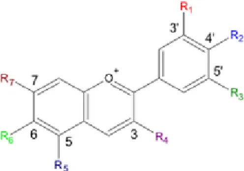 Gambar 2.1 Antosianin pelargonidin (Anonim,2011). 