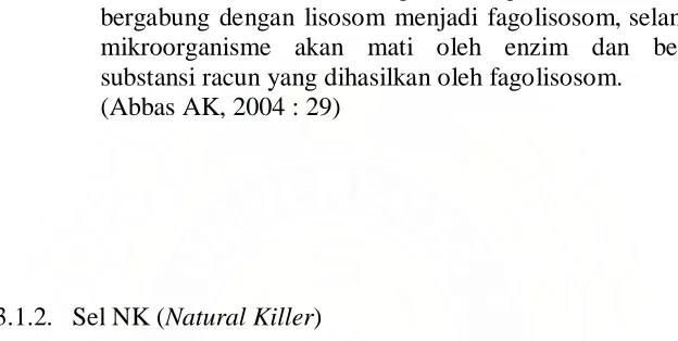 gambar 3. 