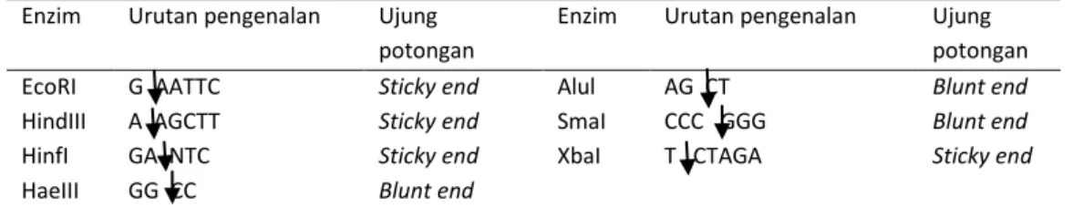 Tabel 1. Enzim restriksi dan daerah pemotongannya  Enzim  Urutan pengenalan  Ujung 