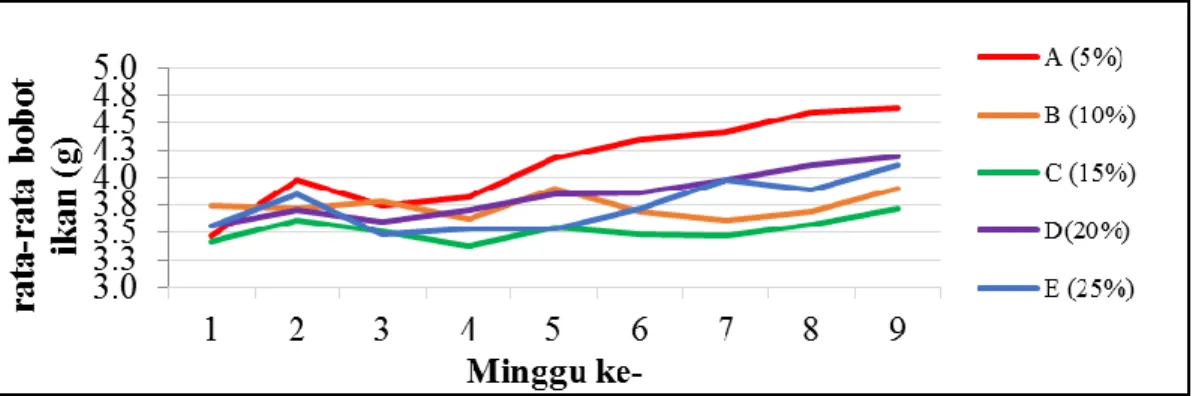 Gambar 1. Grafik Peningkatan Bobot Rata-rata Benih Ikan Nilem  Hasil  analisis  Duncan  perlakuan  A 