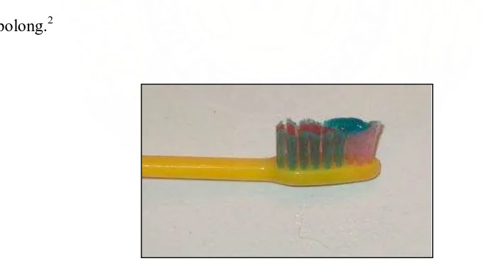 Gambar 2. Banyaknya pasta gigi yang dioleskan     sebesar biji kacang polong16  