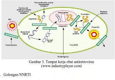 Gambar 3. Tempat kerja obat antiretrovirus (www.industryplayer.com) 