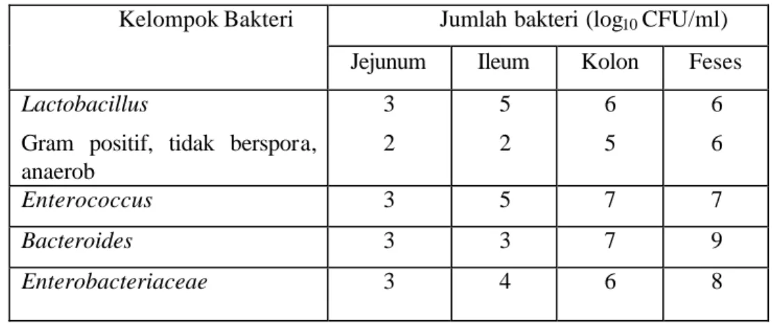 Tabel 1 Populasi kelompok bakteri utama pada usus manusia (Ray  1996)  Jumlah bakteri (log 10  CFU/ml) Kelompok Bakteri 