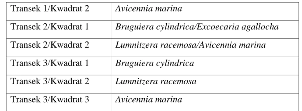 Tabel 3. Distribusi kelas diameter untuk tipe asosiasi B. cylindrica/E. agallocha       (Transek 1/kwadrat 1)