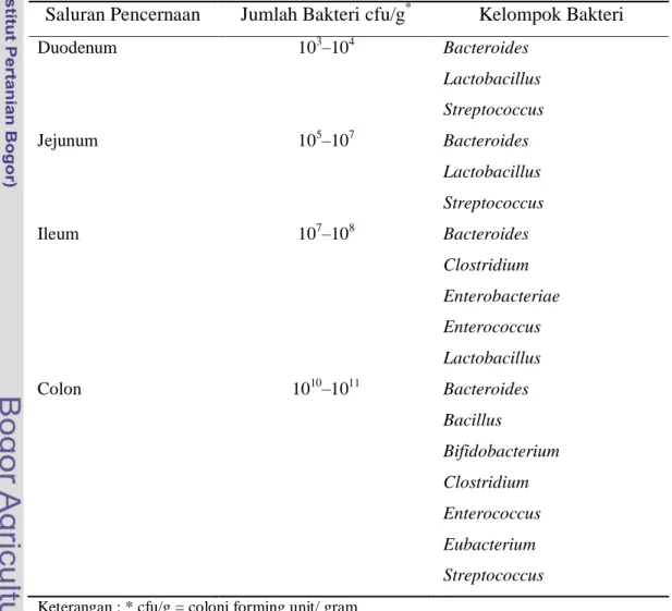 Table 2. Populasi Kelompok Bakteri Utama pada Usus Manusia 