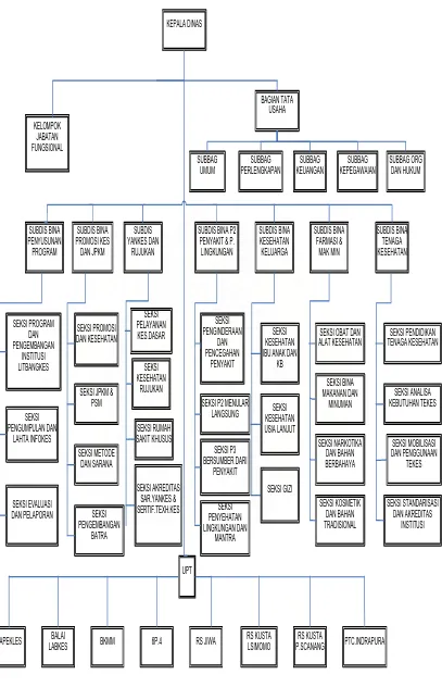 Gambar 3.1 Struktrur Organisasi Dinas Kesehatan Provinsi Sumatera Utara 