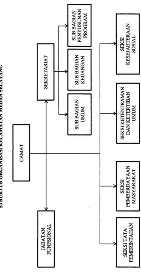 Gambar 2.1 Struktur Organisasi Kecamatan Medan Selayang  Sumber : Kantor Kecamatan Medan Selayang 