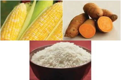 Gambar 157.Beberapa bahan makanan yang mengandung karbohidrat  Sumber: : www.minutkab.go.id, diarynouvanutritionis.com 