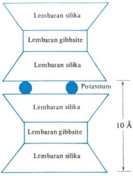 Gambar 2.7. Struktur illite (Grim, 1959) 