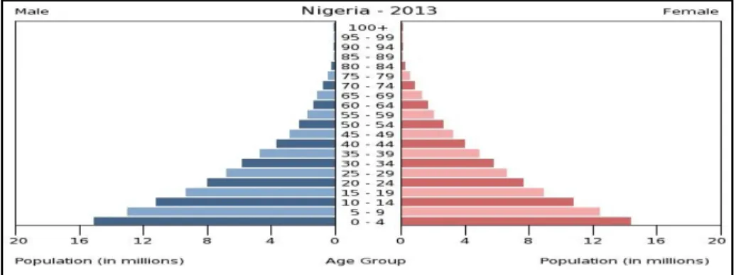 Gambar 2. Demografi Penduduk Nigeria berdasarkan Gender dan Usia 