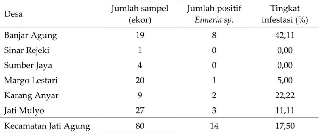 Tabel 2. Tingkat infestasi protozoa (Eimeria sp.) di Kecamatan Jati Agung 