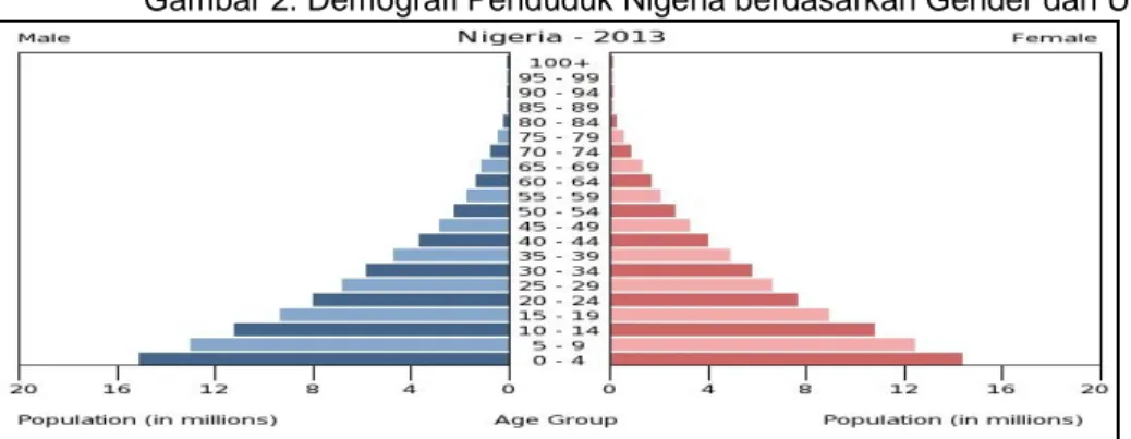 Gambar 2. Demografi Penduduk Nigeria berdasarkan Gender dan Usia 
